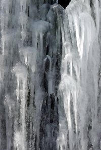 IMGP5320.jpg closeup